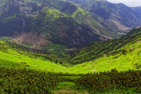 valley in the mountainsの写真素材