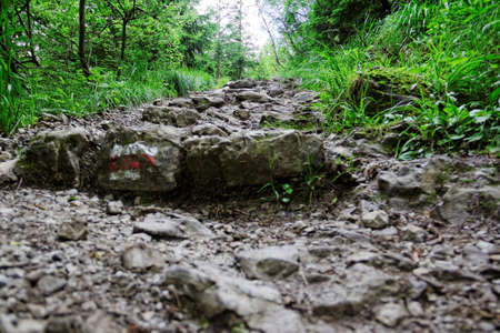 rocky mountain trailの写真素材