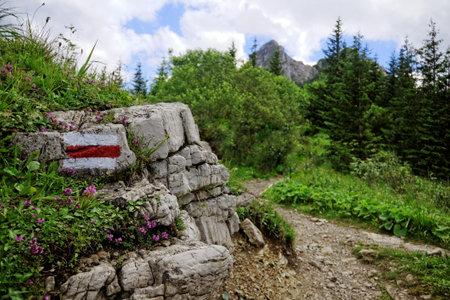 rocky mountain trailの写真素材