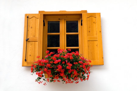 Yellow window with red flowers