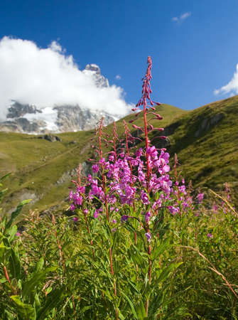 View to Matterhorn from Cervinia in italian Alpsの写真素材