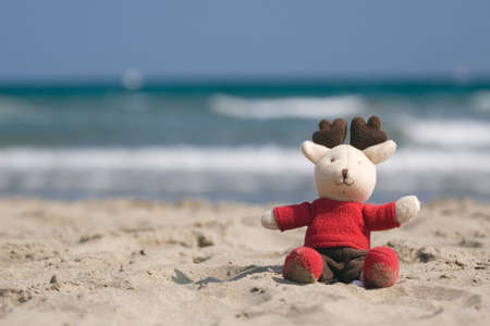Toy on the beach of mediterranean seaの写真素材