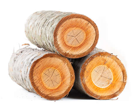 Three cherry tree round stub logs on white backgroundの写真素材