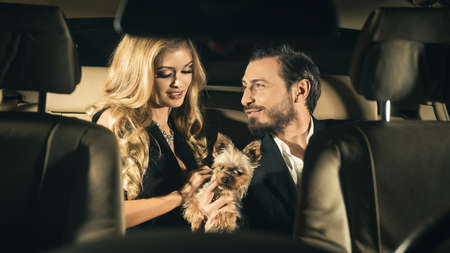 Elegant couple in the car.の写真素材