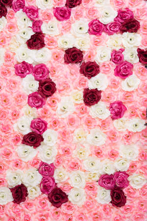 Flower background pinkの写真素材