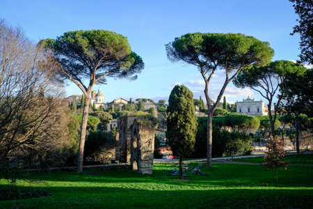 View of the Roman Forum, Palatine Hill. The Colosseum area. Rome, Italy.の写真素材