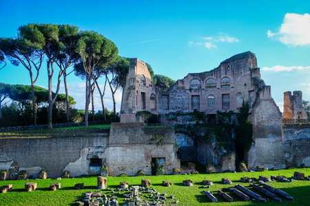 View of the Roman Forum, Palatine Hill. The Colosseum area. Rome, Italy.の写真素材