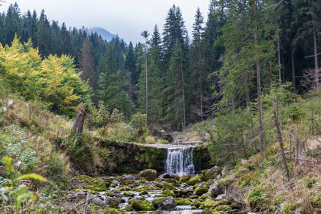 Forest stream In Tatra Mountains, Zakopans, Polandの写真素材