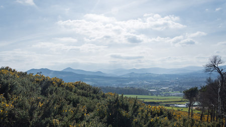 Scenic view from the summit of Bray Head, County Wicklow, Ireland. Summer coastal landscape.