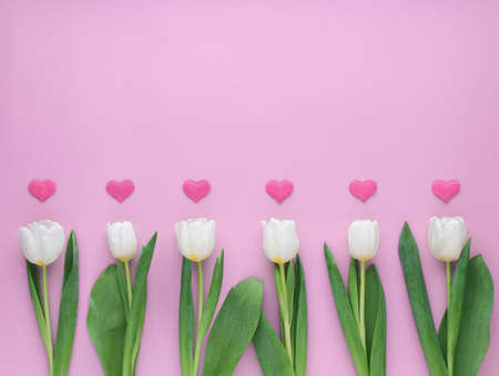 White tulips with hearts on pink background. Hapy Valentine's day.の写真素材