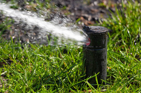 Sprinkler of automatic watering close-up.