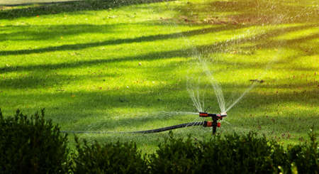 An automatic watering system spray the lawn in the park. Gardening concept.の写真素材