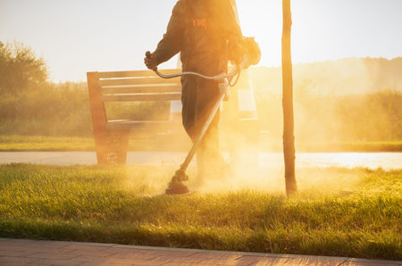 A gardener mows the lawn with a lawn mower early in the morning at dawn. Lawn and parkland care