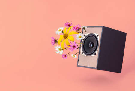 Audio speaker with spring flowers on coral background. Minimal spring vibe concept. Sounds of spring and fresh ideas.の写真素材