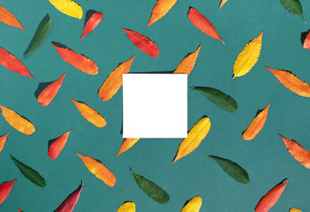Creative layout of colorful autumn leaves on green jade background with white paper card for copy space. Seasons change concept.の写真素材