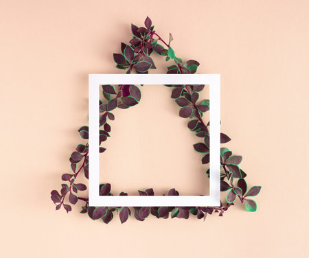 Creative geometric layout made of branches with green leaves in triangle shape and paper card frame...