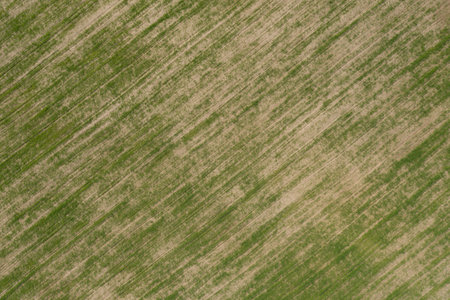 Aerial view of agricultural fields with green crops planted.