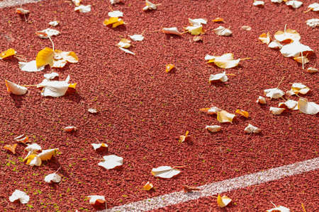 Red running track at the stadium with autumn leaves.の写真素材