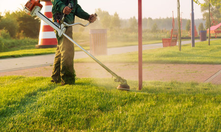 Gardener mows the lawn with a lawn mower early in the morning at dawn. Lawn and parkland care.
