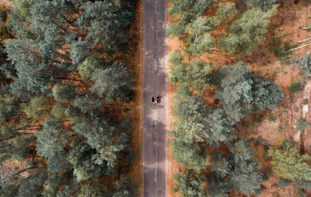 Young cyclist lying on asphalt road in the forest during bicycle travel. Aerial top view.の写真素材