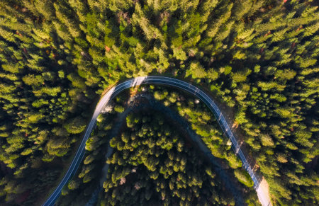 Aerial view of the road in the forest from above.