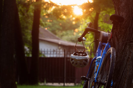 Gravel bike standing by the tree in the park at sunset. Rear view.の写真素材