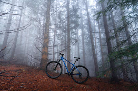 Mountain cross country bicycle standing in the autumn foggy forest. Outdoor activity concept. Offroad cycling.の写真素材