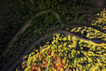 Mountain road in beautiful autumn forest at sunset. Aerial top view. Colorful landscape with winding highway, cars, pine trees abd river.の写真素材