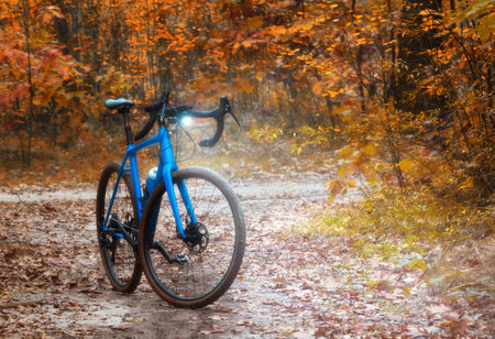 Bicycle with flashlight turns on is standing on a path in a magical autumn forest. Sport and...
