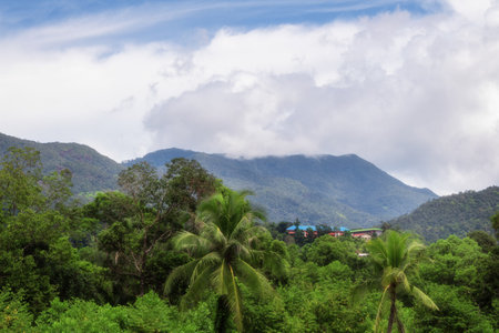 Tropical landscape with palms and mountain tops covered in clouds.の写真素材