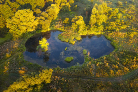 Aerial view of beautiful lake at sunrise in autumn. Colorful aerial landscape of pond in the forest at dawn. Top viewの写真素材
