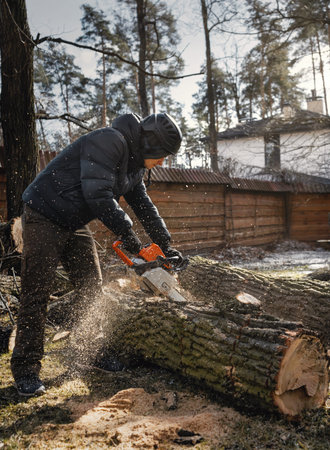 Woodcutter saws tree with chainsaw. Sawdust flies from chainsaw. Arborist in a helmet saws a tree...