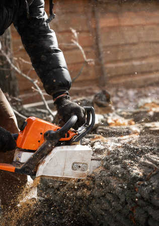An arborist with a chainsaw in his hands, sawing a tree. Disposal of dead trees.の写真素材