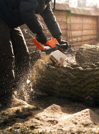 Pile of wood shavings near a tree cut down with a chainsaw by an arborist.の写真素材