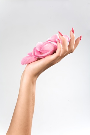 Beautiful woman hands with roseの写真素材