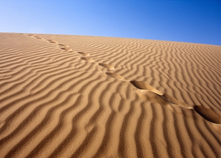 Sandy desert, Sahara, Tunisiaの写真素材