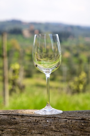 Empty wine glass in a vineyardの写真素材