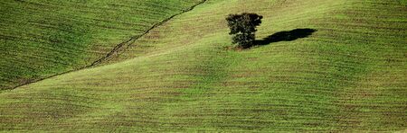 Tuscan Countryside, Italian landscapeの写真素材