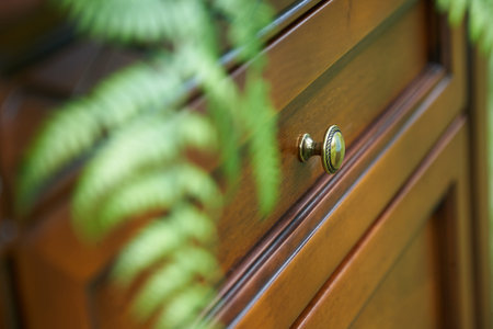 Cupboard standing in a forest