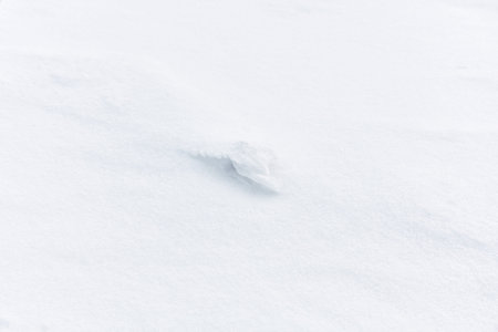 Abstract forms of snow and ice created by strong winds. White minimalist scene.