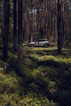 Ogrodzieniec / Poland - 28.05.2017: Silver SUV, Peugeot 3008 standing on a forest glade in the sunshine. No people.のeditorial素材