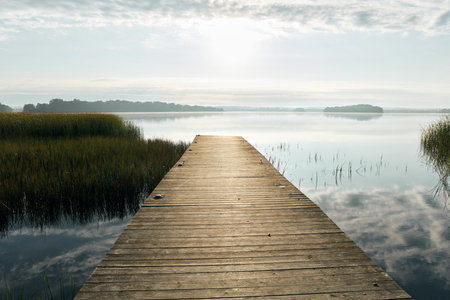 Early morning light illuminates a serene lake with a wooden pier stretching towards the horizon. Lush grasses border the water, contributing to the peaceful atmosphereの写真素材