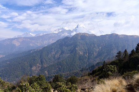 Visitors experience stunning views, where the towering peaks of the Himalayas rise majestically. The serene landscape showcases lush greenery and distant snow-capped mountains.の写真素材