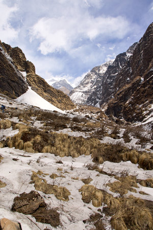 Hikers navigate through a breathtaking mountainous terrain in Annapurna, Nepal, surrounded by majestic snow-capped peaks, grass, and rocky slopes. The sky reveals dramatic clouds aboveの写真素材