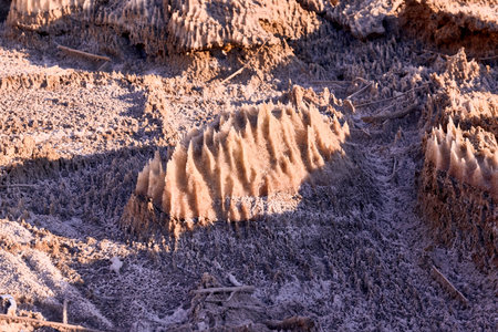 Unique salt formations at the Dead Sea shore in Jordan resembling miniature stalagmites. Crystallized minerals create surreal landscape with pointed structures formed by solid salt water evaporationの写真素材