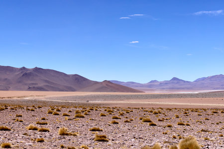 Expansive views of Avaroa National Park reveal rugged mountains and arid desert lands, dotted with sparse vegetation under a bright sky, reflecting the tranquility of the Bolivian wilderness.の写真素材