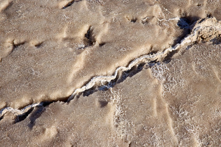 Salty crust and cracked earth define the surface of the Dead Sea, showing its distinctive geological features under the sun in Jordan's striking environmentの写真素材