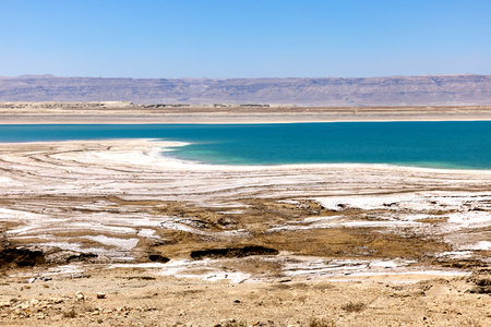 Visitors admire the stunning contrast between the vivid blue water and the surrounding salt formations at the Dead Sea in Jordan. This serene location offers a glimpse of nature's beautyの写真素材