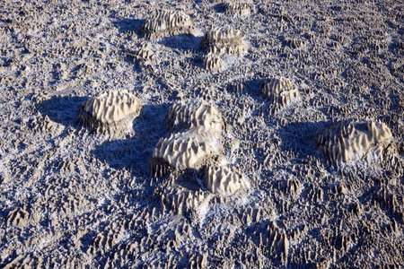 Numerous fascinating salt formations create an unusual landscape along the shores of the Dead Sea in...