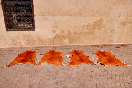 Four leather hides lay on a stone floor to dry in the sun in Fes, Morocco. They are orange and still have some white fur visible. A patterned window and old wall are behind them.の写真素材